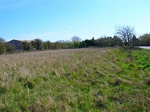 Rhee Wall, Callington Court Farm - geograph.org.uk - 394176