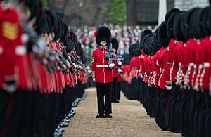 SOLDIERS COMPLETE FINAL REHEARSAL AHEAD OF THE QUEEN'S BIRTHDAY PARADE MOD 45159988
