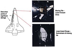 STS-27-damageplot