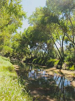 San Pedro River