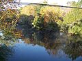 Santa Fe River High Springs west02