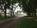 Side street view in Kingsley, Iowa