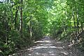 Sulfur Trestle Battlefield