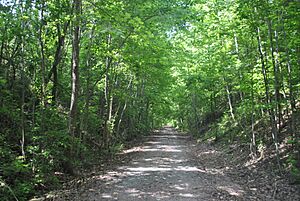 Sulfur Trestle Battlefield