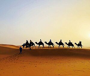 Sunset in Sahara.jpg