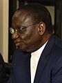 Sylvestre Ilunga Ilunkamba (cropped).jpg