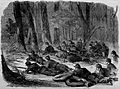 The Army of the Potomac -- Our Outlying Picket in the Woods