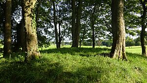 The Castle Hill, Caprington, East Ayrshire, Scotland. View of the summit
