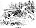 The Plunge Sinclair 1893