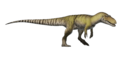 Torvosaurus tanneri Reconstruction (Flipped)
