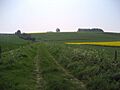 Track to Urchfont Hill - geograph.org.uk - 424815