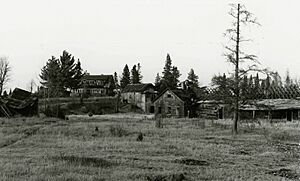 Triangle Ranch Headquarters Amasa 1982