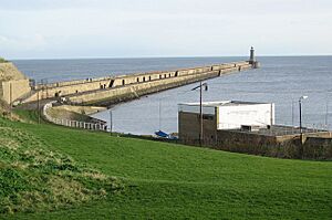 Tynemouth North Pier - geograph.org.uk - 326313