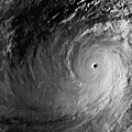 Typhoon Tip (1979) peak intensity
