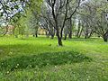 Urban Meadow in Uppsala