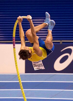 WK040289 polsstok duplantis