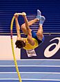 WK040289 polsstok duplantis