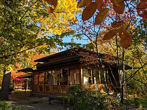 Zui-Ki-Tei, autumn 2019