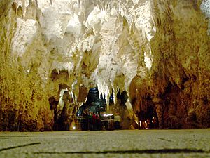 'Cathedral' in Waitomo Cave