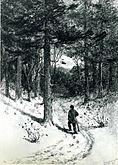 A graphite drawing on laid paper of a man walking along a forest trail, carrying a walking stick. The trees loom over him, filling most of the page, but there is a small clearing in the trees visible up ahead.