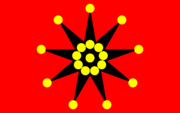 十九星旗