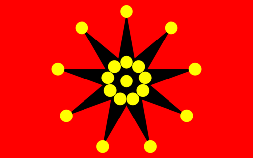 十九星旗