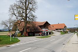 2012-04-26 Sense-Sarino (Foto Dietrich Michael Weidmann) 150.JPG