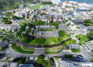 Aerial shot over the University of Otago 2024
