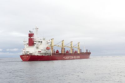 Amine Bulker