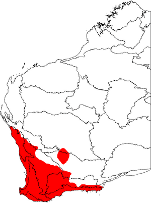 Banksia ser. Dryandra map