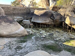 Barker Dam Joshua Tree 2022c