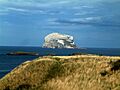 Bass Rock