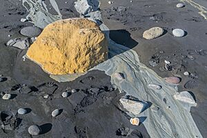 Black sand in Waihi Beach Reserve 03