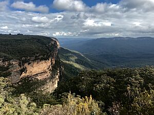 Blue Mountains View