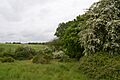 Brickfield and Long Meadow 7