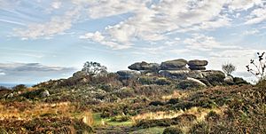 Brimham Rocks from Flickr L 12