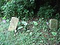 Broken gravestones in the African Jackson Cemetery