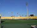 Campo de juego del estadio Zabeel.