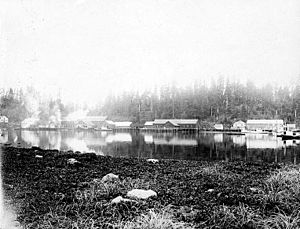 North Pacific Trading and Packing cannery in Klawak, early 20th century