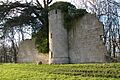 Castle folly, Croome - geograph.org.uk - 108546