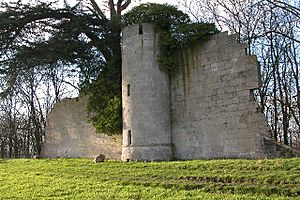 Castle folly, Croome - geograph.org.uk - 108546