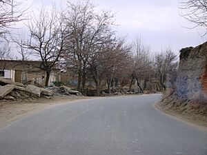 Chaharikar, Afghanistan - panoramio - Masoud Akbari (1)
