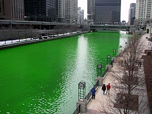 Chicago River dyed green, focus on river