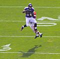 Cleveland Browns vs. Baltimore Ravens (15169163827)