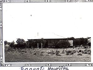 Dowling 088