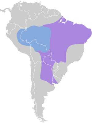 Fluvicola albiventer map.svg