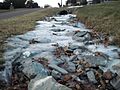 Frozen rivulet in Pennsylvania