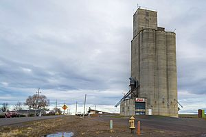 Grain Elevator (Adams, Oregon)