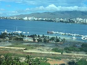 Panoramic