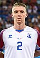 Iceland national football team World Cup 2018 (cropped) Sævarsson
